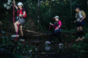 BIB: 
                            <button type="button" onclick="openModal(22446305)" class="btn btn-primary btn-sm float-right btn-popup" data-toggle="modal" data-target=".modal-high-quality">
                        <i class="fas fa-shopping-cart"></i> Add to Cart
                    </button>
                                            <button type="button" onclick="isThisMe(22446305, true)" class="btn btn-success btn-sm float-right btn-popup btn-isme hidden" data-toggle="tooltip" data-placement="bottom" title="นี่คือรูปของคุณใช่ไหม คลิกที่นี่เพื่อเอาเข้าอัลบั้ม">
                        <i class="fas fa-plus"></i> Add to album
                    </button>
                    <button type="button" onclick="isThisMe(22446305, false)" class="btn btn-warning btn-sm float-right btn-popup btn-isnotme hidden">
                        <i class="fas fa-ban"></i> Remove from album
                    </button>